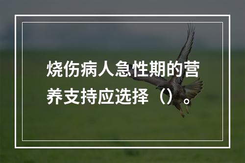 烧伤病人急性期的营养支持应选择（）。