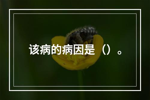 该病的病因是（）。