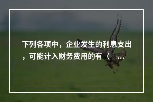 下列各项中，企业发生的利息支出，可能计入财务费用的有（　）。