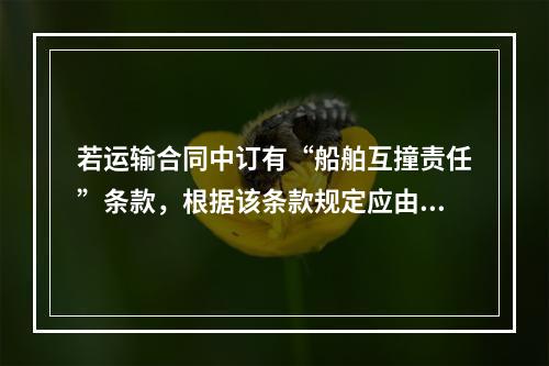 若运输合同中订有“船舶互撞责任”条款，根据该条款规定应由货方