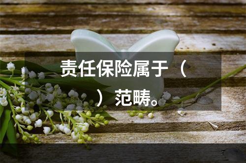 责任保险属于（　　）范畴。