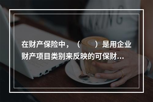 在财产保险中，（　　）是用企业财产项目类别来反映的可保财产。