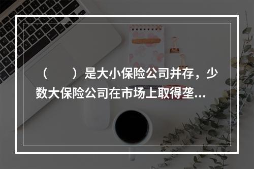 （　　）是大小保险公司并存，少数大保险公司在市场上取得垄断地