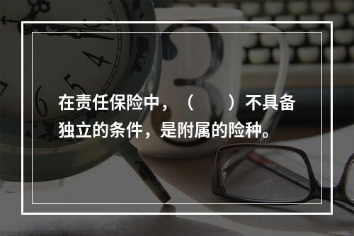 在责任保险中，（　　）不具备独立的条件，是附属的险种。