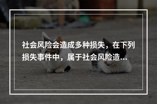 社会风险会造成多种损失，在下列损失事件中，属于社会风险造成的