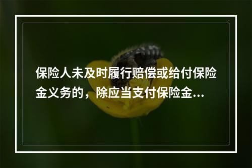 保险人未及时履行赔偿或给付保险金义务的，除应当支付保险金外，