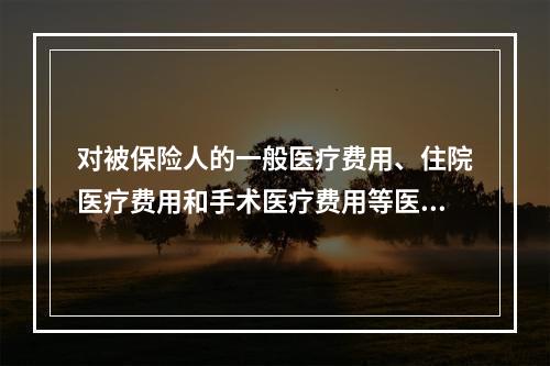 对被保险人的一般医疗费用、住院医疗费用和手术医疗费用等医疗费