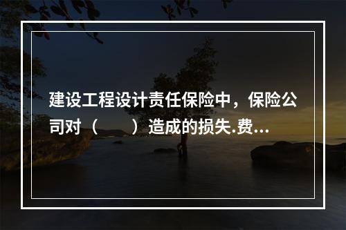 建设工程设计责任保险中，保险公司对（　　）造成的损失.费用不