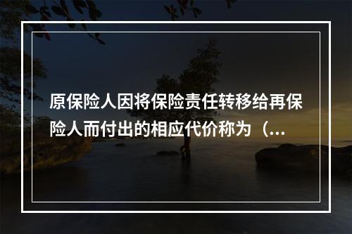 原保险人因将保险责任转移给再保险人而付出的相应代价称为（　　