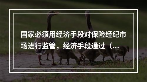 国家必须用经济手段对保险经纪市场进行监管，经济手段通过（　　