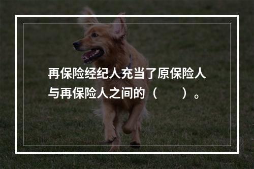 再保险经纪人充当了原保险人与再保险人之间的（　　）。