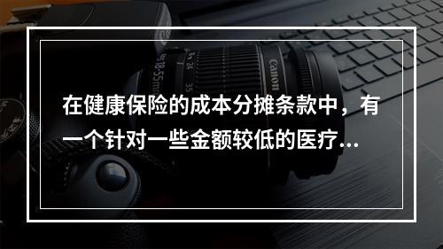 在健康保险的成本分摊条款中，有一个针对一些金额较低的医疗费用