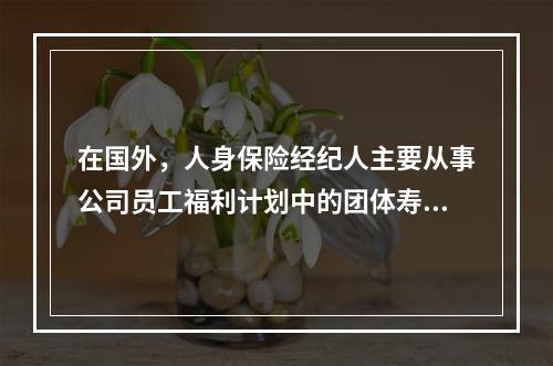 在国外，人身保险经纪人主要从事公司员工福利计划中的团体寿险和