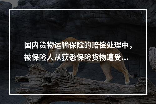 国内货物运输保险的赔偿处理中，被保险人从获悉保险货物遭受损失