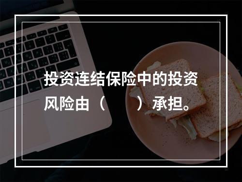 投资连结保险中的投资风险由（　　）承担。