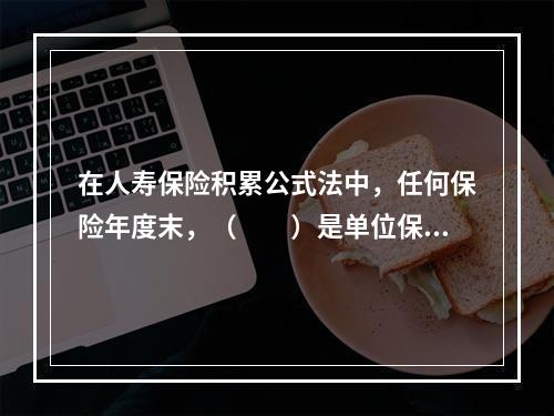 在人寿保险积累公式法中，任何保险年度末，（　　）是单位保额有