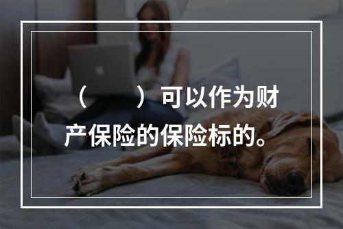 （　　）可以作为财产保险的保险标的。