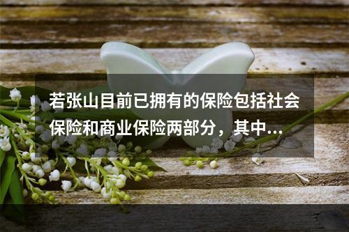 若张山目前已拥有的保险包括社会保险和商业保险两部分，其中社会