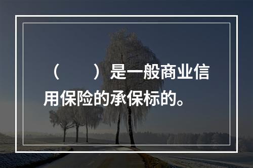 （　　）是一般商业信用保险的承保标的。