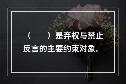 （　　）是弃权与禁止反言的主要约束对象。