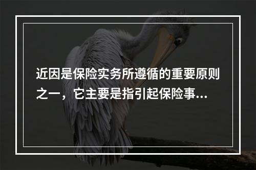 近因是保险实务所遵循的重要原则之一，它主要是指引起保险事故发