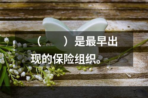 （　　）是最早出现的保险组织。