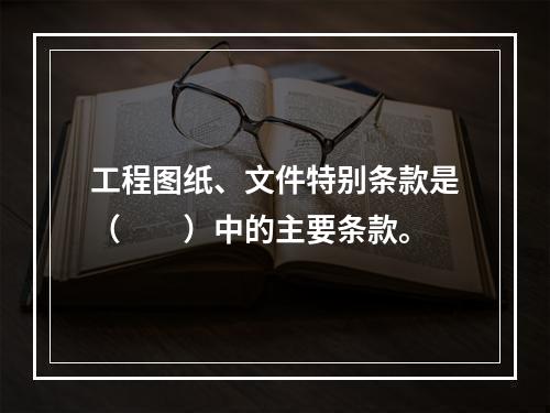 工程图纸、文件特别条款是（　　）中的主要条款。