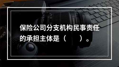 保险公司分支机构民事责任的承担主体是（　　）。