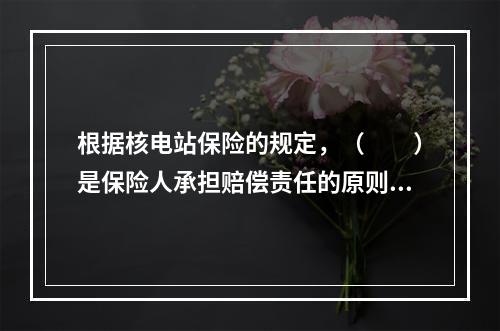 根据核电站保险的规定，（　　）是保险人承担赔偿责任的原则。