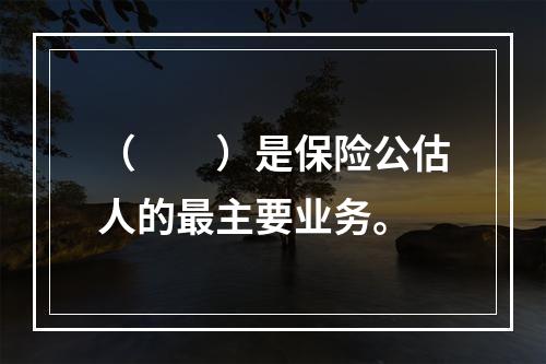 （　　）是保险公估人的最主要业务。