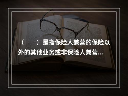 （　　）是指保险人兼营的保险以外的其他业务或非保险人兼营的保