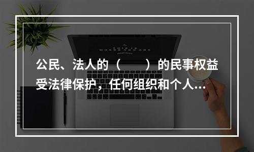 公民、法人的（　　）的民事权益受法律保护，任何组织和个人不得