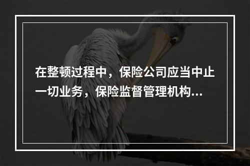 在整顿过程中，保险公司应当中止一切业务，保险监督管理机构有权