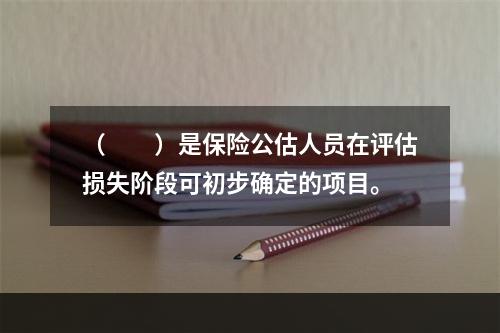 （　　）是保险公估人员在评估损失阶段可初步确定的项目。