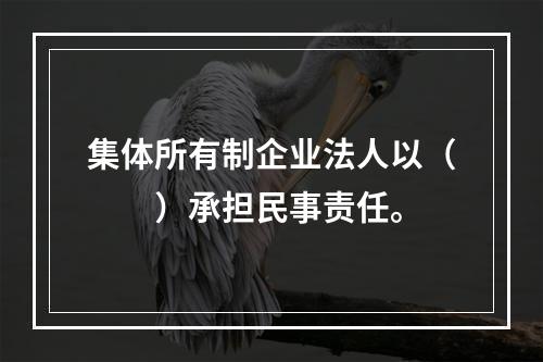 集体所有制企业法人以（　　）承担民事责任。