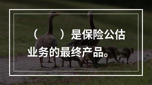 （　　）是保险公估业务的最终产品。