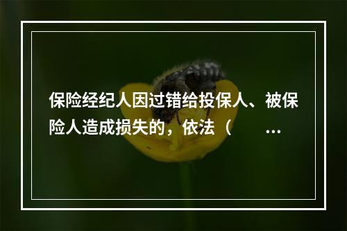 保险经纪人因过错给投保人、被保险人造成损失的，依法（　　）赔