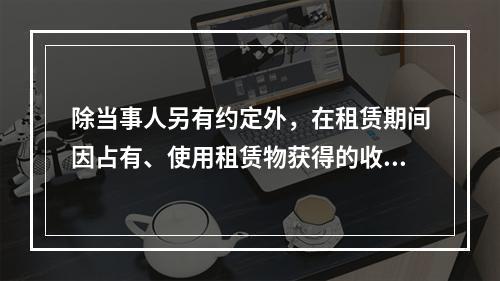 除当事人另有约定外，在租赁期间因占有、使用租赁物获得的收益，