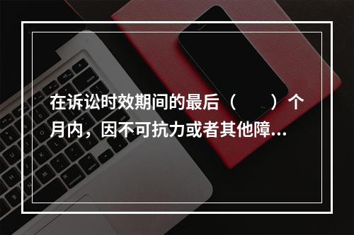 在诉讼时效期间的最后（　　）个月内，因不可抗力或者其他障碍不