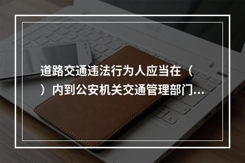 道路交通违法行为人应当在（　　）内到公安机关交通管理部门接受