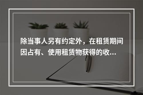 除当事人另有约定外，在租赁期间因占有、使用租赁物获得的收益，