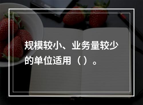 规模较小、业务量较少的单位适用（ ）。