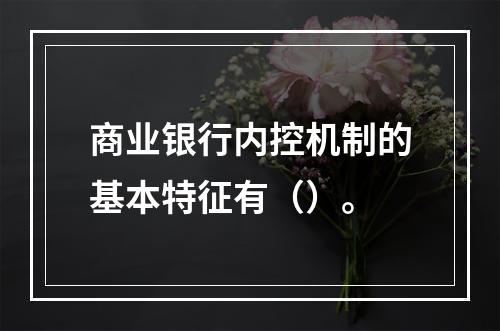 商业银行内控机制的基本特征有（）。