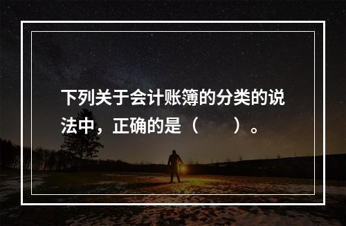 下列关于会计账簿的分类的说法中，正确的是（　　）。