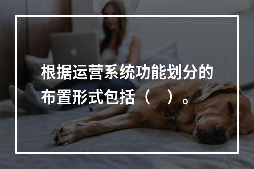 根据运营系统功能划分的布置形式包括（　）。