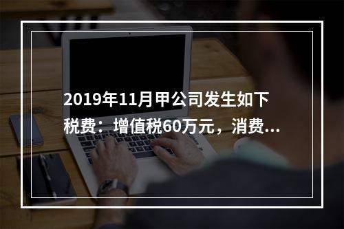 2019年11月甲公司发生如下税费：增值税60万元，消费税8