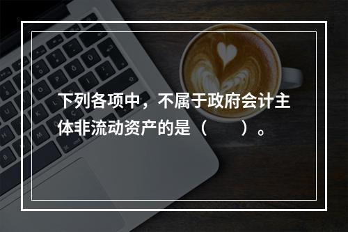 下列各项中，不属于政府会计主体非流动资产的是（　　）。