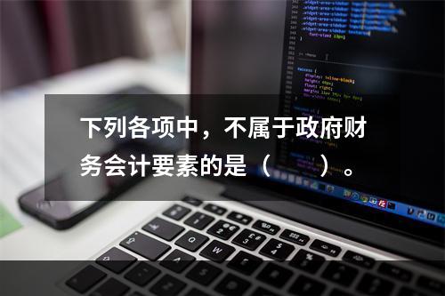 下列各项中，不属于政府财务会计要素的是（　　）。