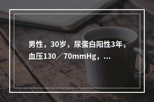 男性，30岁，尿蛋白阳性3年，血压130／70mmHg，尿蛋