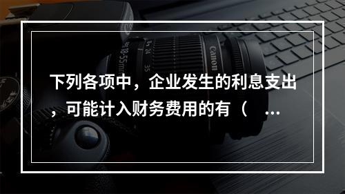 下列各项中，企业发生的利息支出，可能计入财务费用的有（　）。